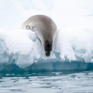 ANTARCTICA 360 – CG GALLERY | LLORET DE MAR 8