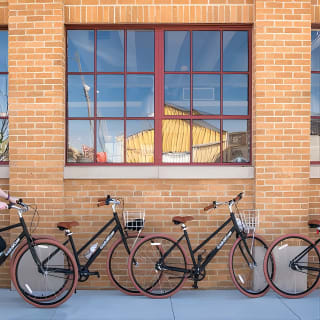 Bikes & Brews Tour 4