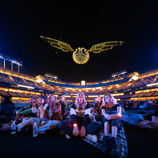DroneArt Show: Harry Potter™ at Randall's Island - Gift Card 2