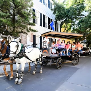 Daytime Horse-Drawn Carriage Sightseeing Tour of Historic Charleston 6