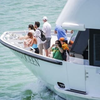 Miami Combo: Tour in autobus, crociera nella baia e Everglades 4