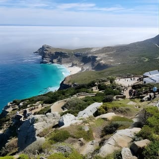 Cape Point and Boulder's Penguins Full Day Tour 9