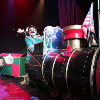 Popovich Comedy Pet Theater at Planet Hollywood Resort and Casino 9