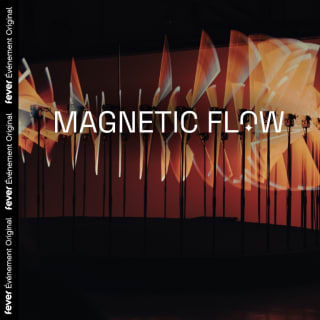 Magnetic Flow: een indrukwekkende tentoonstelling van geluid en licht 6