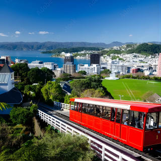 Geführte kleine Gruppe zu Fuß durch Wellington 5