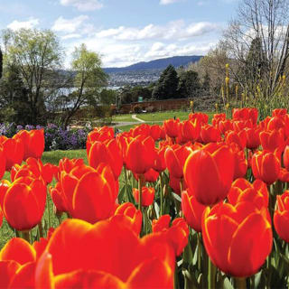 Hobart Half-Day Sightseeing City Tour 2