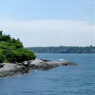 Scenic Lighthouse Boat Cruise from Portland's Old Port 12