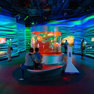 California Academy of Sciences: General Admission 1