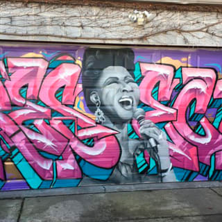 Offbeat Street Art Tour of Chicago: Urban Graffiti and Murals 3