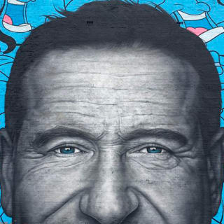Offbeat Street Art Tour of Chicago: Urban Graffiti and Murals 1