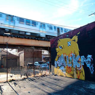 Offbeat Street Art Tour of Chicago: Urban Graffiti and Murals 4