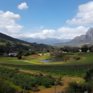 Wine Tour: Paarl, Franschhoek & Stellenbosch incl 3 wineries 20