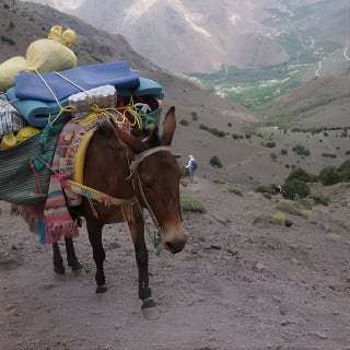 Trek de l'ascension du Toubkal - Atlas - 2 jours (Trek privé) 5