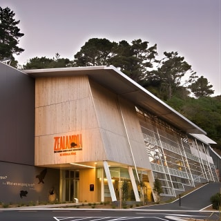 Zealandia - Twilight Guided Eco Wildlife Tour 3
