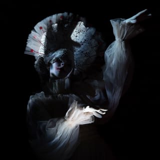 Powell Gardens – Dark Forest 3