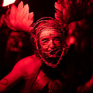 Powell Gardens – Dark Forest 5