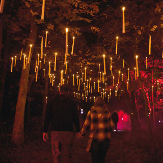 Powell Gardens – Dark Forest 2