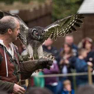 Warwick Castle Tickets 7