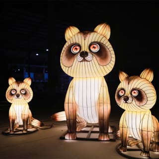 Le Japon en Lumières - Festival des Lanternes au Jardin d’Acclimatation - Carte Cadeau 7