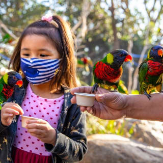 Aquarium du Pacifique : évitez la file d'attente 3