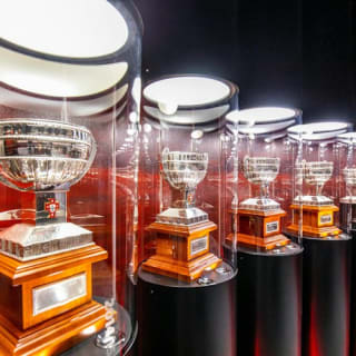 Estádio da Luz e Museu do Benfica: Bilhete de entrada + oferta de cachecol 4