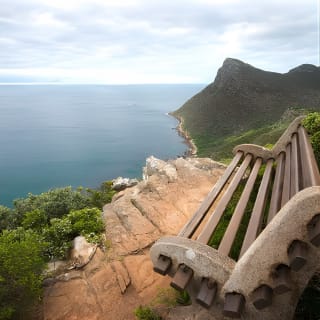 Cape Point and Boulder's Penguins Full Day Tour 10