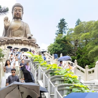 Best Seller: VIP Lantau Tai O Tour con fibbia per capelli 13