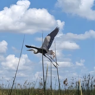 Les trajets en hydroglisseur écoénergétiques les moins chers de Central Florida 11