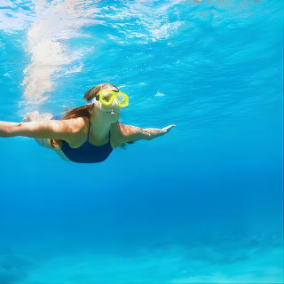 Snorkeling and Dolphin Watching Experience in Destin 5