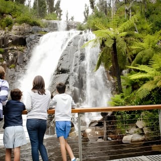 Lake Mountain Snow Trip including Yarra Valley Chocolaterie from Melbourne 4