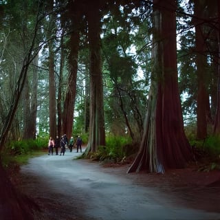 Recorrido a pie por los secretos de Stanley Park en Vancouver 6