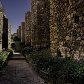 Alcazaba e cattedrale di Malaga: tour guidato 3