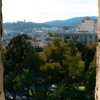 Mallorca "Hidden Gems" di City Break - tour a piedi divertenti! 6