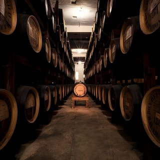 Ron del Barrilito Mixology Skip-the-Line Tour 5