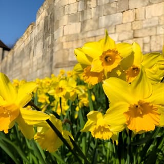 York 3-Hour Photography Walking Tour 5