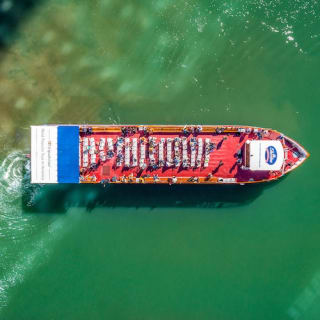 Chicago: Crucero por el Río de la Arquitectura desde la Avenida Michigan 8