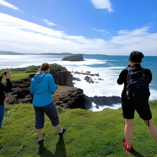 Sea Cliff Bridge, Blowhole, Spiagge e Terreni Agricoli - Fuga dalla città 11