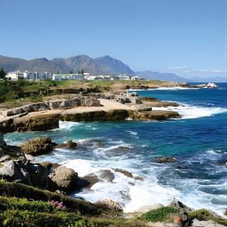 From Cape Town: Full Day Guided Hermanus Explorer Tour 8