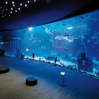 Poema del Mar - Gran Canaria Aquarium: جانبوٽوم (ترتيب ڏڻ).

 9