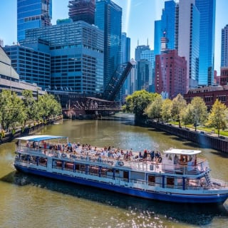Chicago: Crucero por el Río de la Arquitectura desde la Avenida Michigan 9