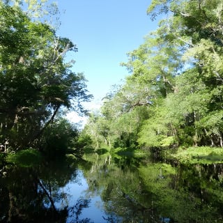 Exclusive Nature Escape Kayak Adventure sur Blackwater Creek 16