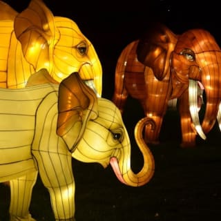 Bronx Zoo: Holiday Lights Tickets 3