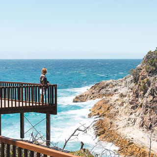 Excursión de un día a la isla Stradbroke desde Brisbane 6