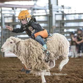 General Admission to the Rodeo Bulverde 7