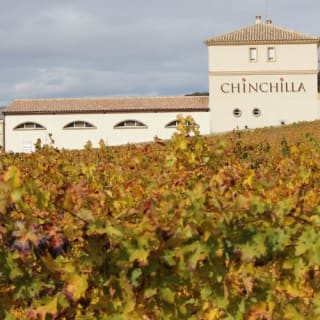 Bodega Doña Felisa: Visita guiada y cata de vinos o comida 5