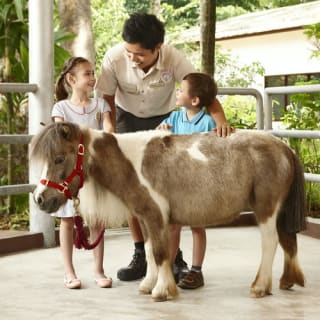 Singapore Zoo: Meet orangutans, snakes and more 4