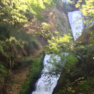 Explore Columbia River Gorge Half-Day Small-Group Tour  31