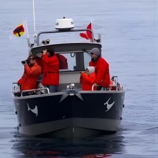 Ultimate Marine Whale & Wildlife Tour 17
