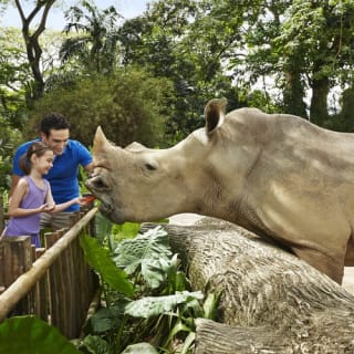 Singapore Zoo: Meet orangutans, snakes and more 5