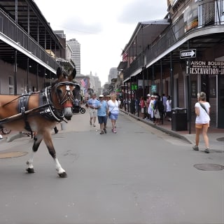 New Orleans French Quarter & Marigny Neighborhood Carriage Ride 2